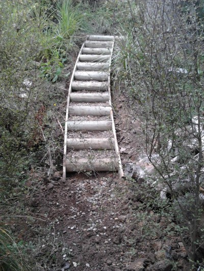 gully steps using half round timber