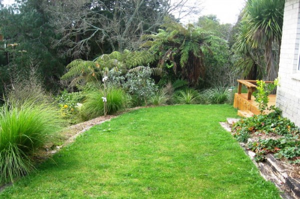 gully meets garden with fruit trees and new decking