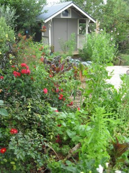 permaculture edible garden by Green Footprint