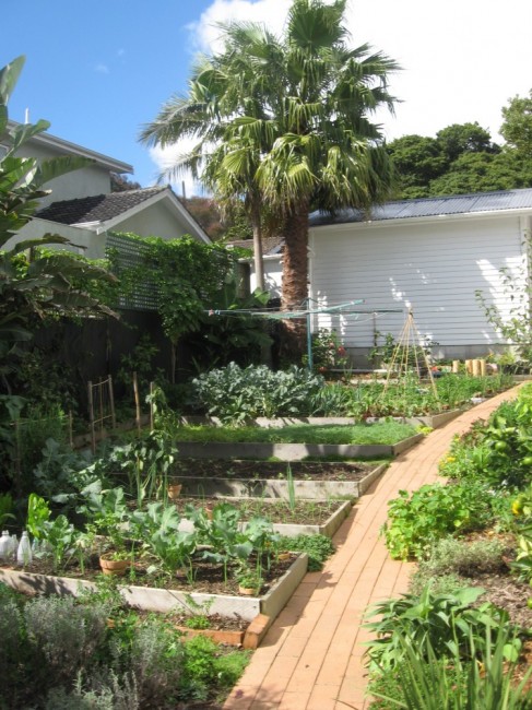 an edible garden courtyard
