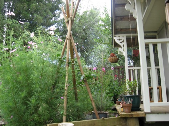 edibles and flowers grow happily together