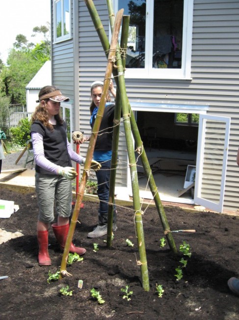 building the pea frame together