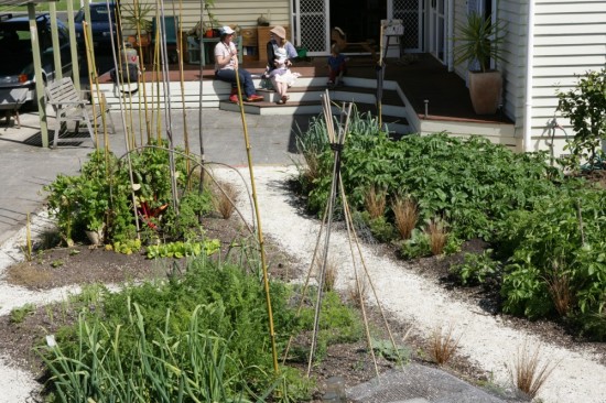 a family food garden at the heart of the backyard