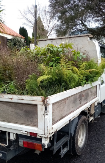 We source and deliver ecosourced plants for  restoration projects.